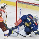 Sandro Aeschlimann (gardien) et Davos sont toujours invaincus en National League. KEYSTONE/JUERGEN STAIGER
